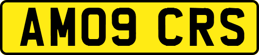 AM09CRS