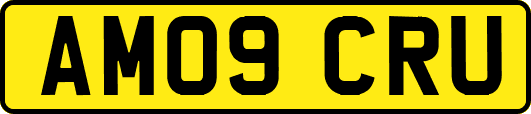 AM09CRU