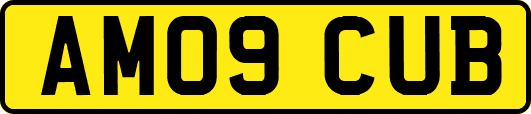 AM09CUB