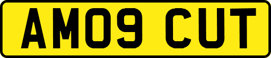 AM09CUT