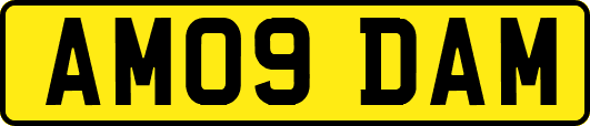 AM09DAM