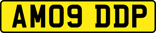 AM09DDP