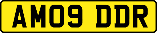 AM09DDR