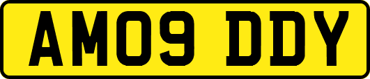 AM09DDY