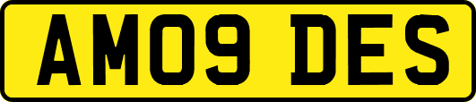 AM09DES
