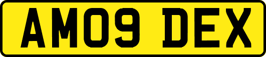 AM09DEX