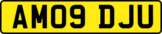 AM09DJU