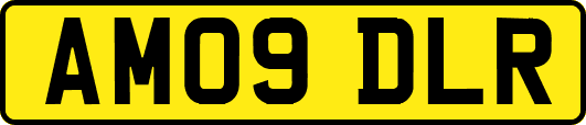 AM09DLR