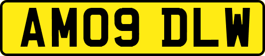 AM09DLW