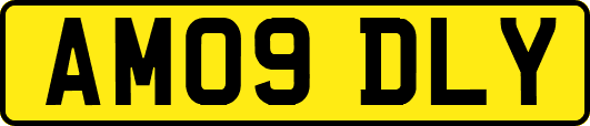 AM09DLY