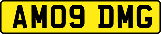 AM09DMG