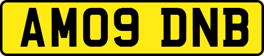 AM09DNB