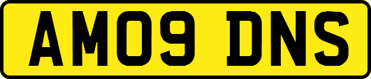 AM09DNS