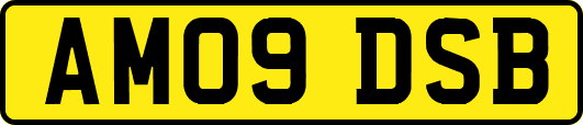 AM09DSB
