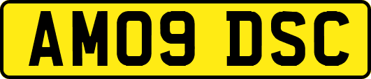 AM09DSC