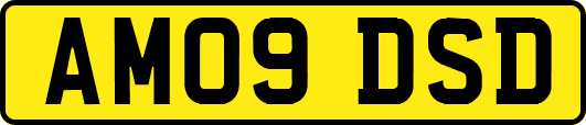 AM09DSD