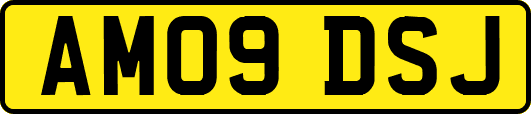 AM09DSJ