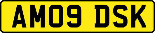 AM09DSK
