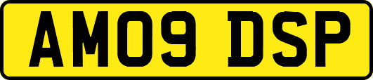AM09DSP