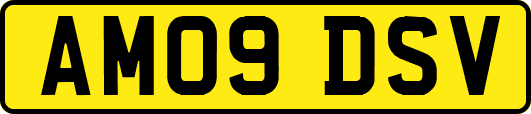 AM09DSV