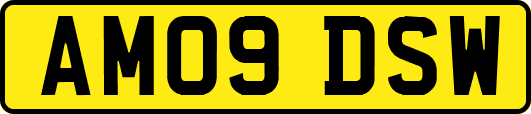 AM09DSW