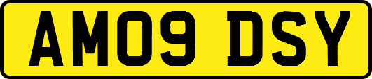 AM09DSY