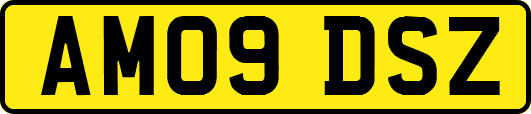 AM09DSZ