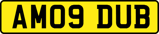 AM09DUB