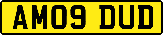 AM09DUD