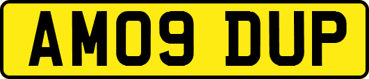 AM09DUP