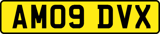 AM09DVX