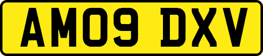 AM09DXV