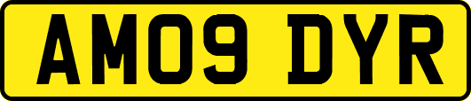 AM09DYR