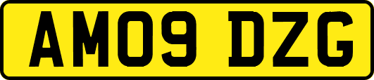 AM09DZG