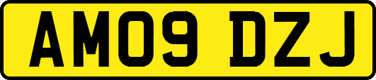 AM09DZJ