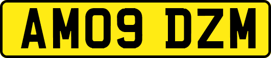 AM09DZM