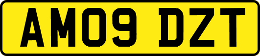 AM09DZT