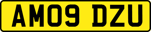 AM09DZU