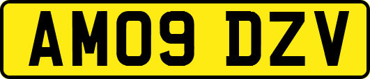 AM09DZV