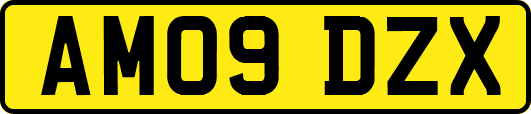 AM09DZX