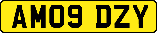 AM09DZY