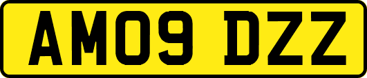 AM09DZZ