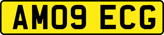 AM09ECG