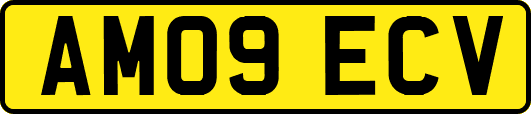 AM09ECV