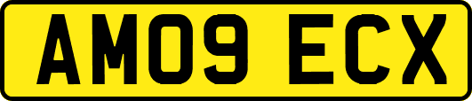 AM09ECX