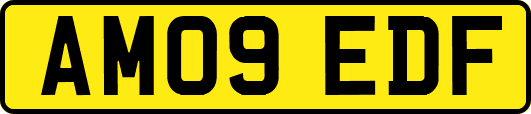 AM09EDF