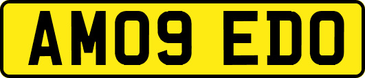 AM09EDO