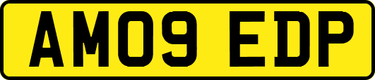 AM09EDP