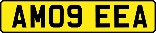 AM09EEA