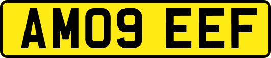 AM09EEF